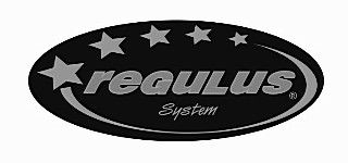 Отопительные системы Regulus